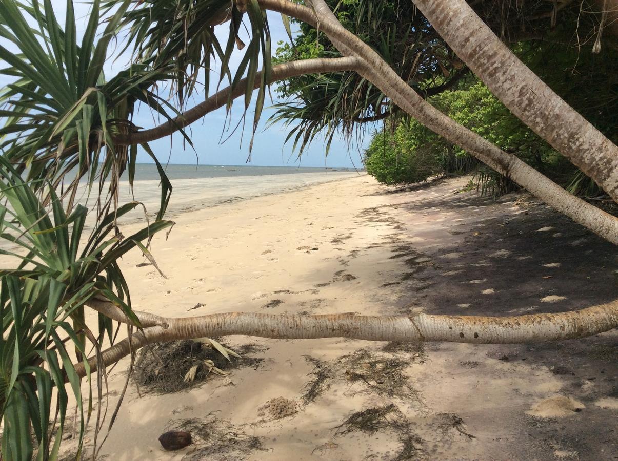 Peponi Beach Resort Pangani ภายนอก รูปภาพ