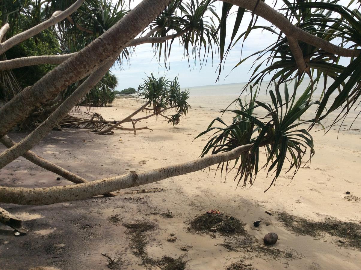 Peponi Beach Resort Pangani ภายนอก รูปภาพ