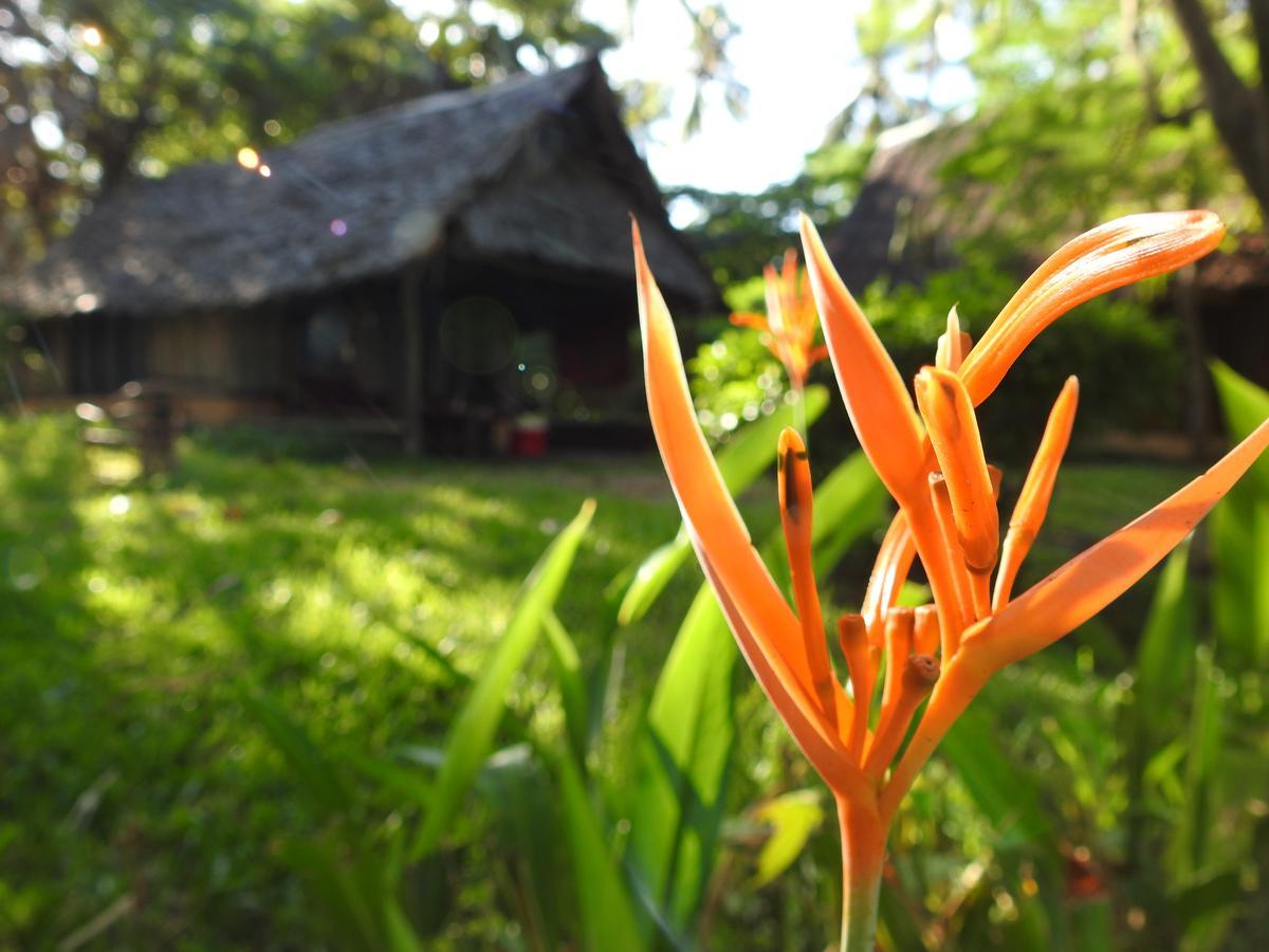 Peponi Beach Resort Pangani ภายนอก รูปภาพ
