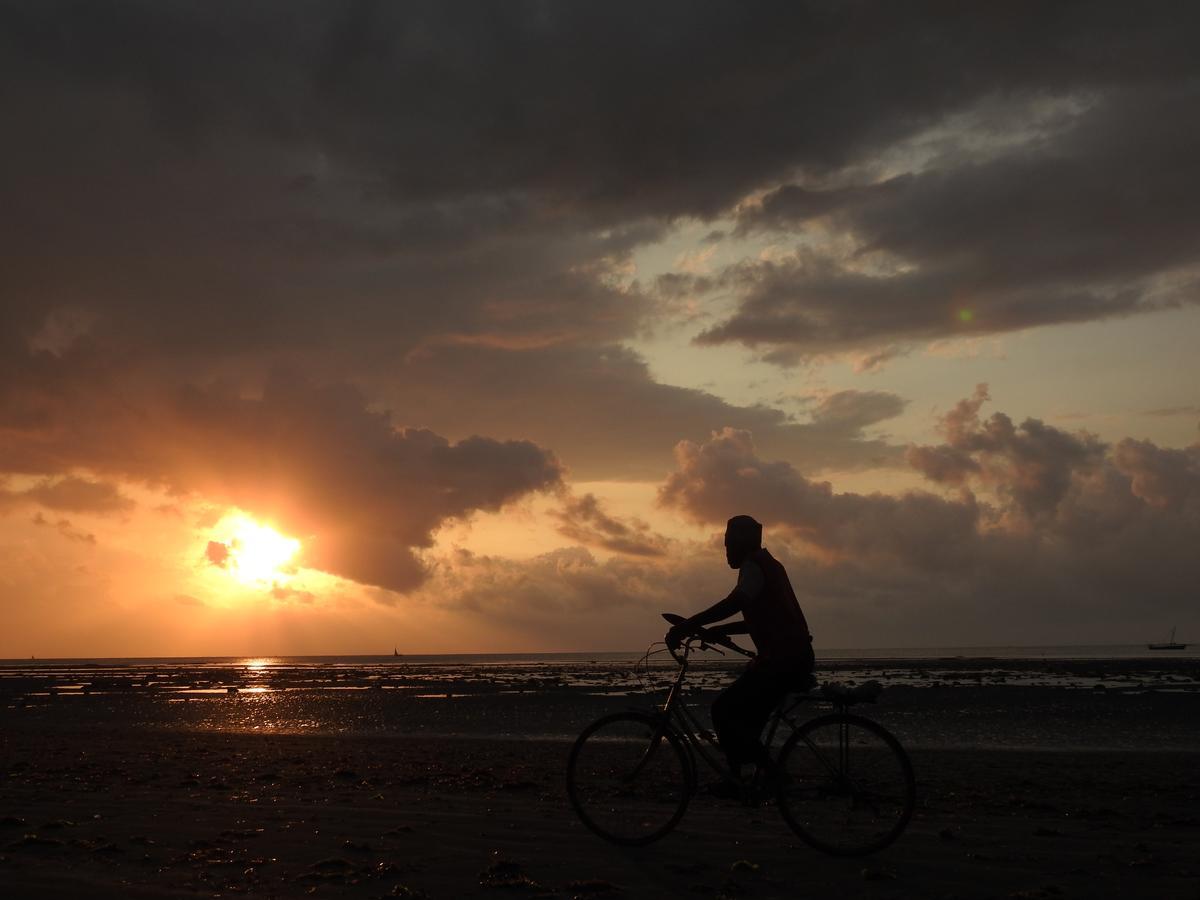 Peponi Beach Resort Pangani ภายนอก รูปภาพ